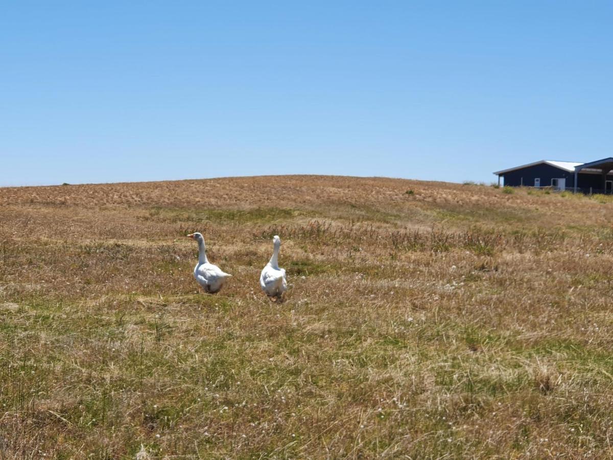 Coorong Island Retreat - Farm Stay At Pet Friendly Property Meningie Exteriér fotografie