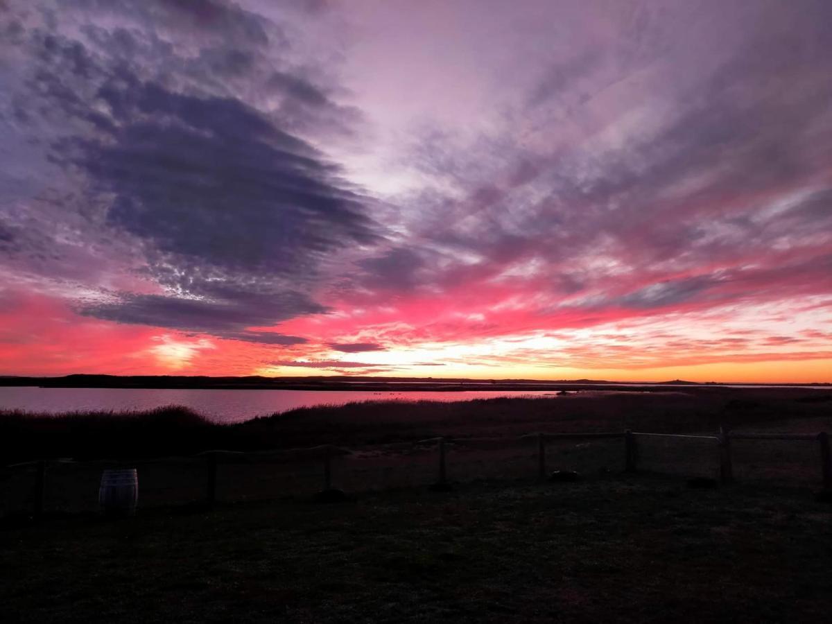 Coorong Island Retreat - Farm Stay At Pet Friendly Property Meningie Exteriér fotografie