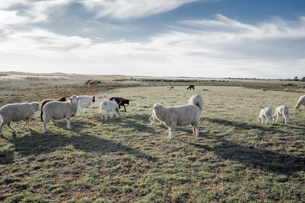 Coorong Island Retreat - Farm Stay At Pet Friendly Property Meningie Exteriér fotografie