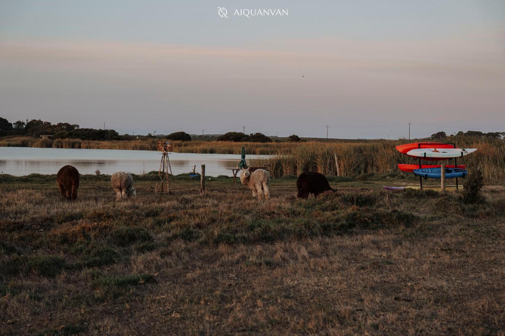Coorong Island Retreat - Farm Stay At Pet Friendly Property Meningie Exteriér fotografie